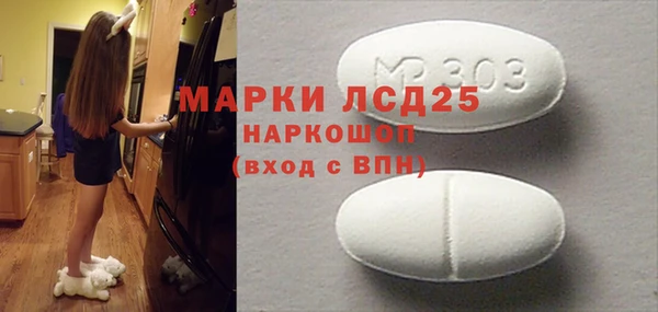 ГАЛЛЮЦИНОГЕННЫЕ ГРИБЫ Нея