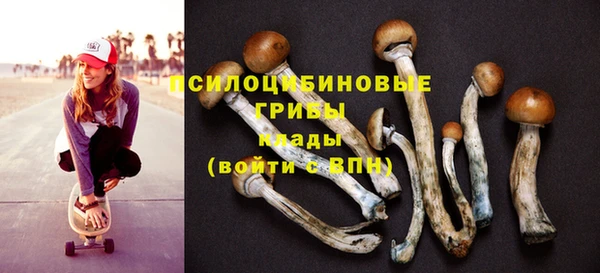 соль ск Абдулино