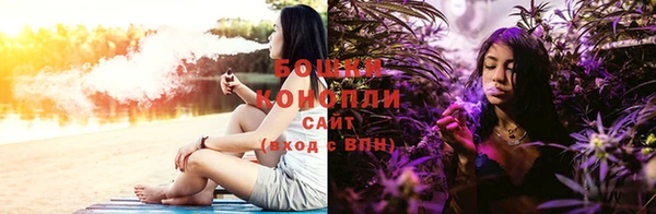 ГАЛЛЮЦИНОГЕННЫЕ ГРИБЫ Нея